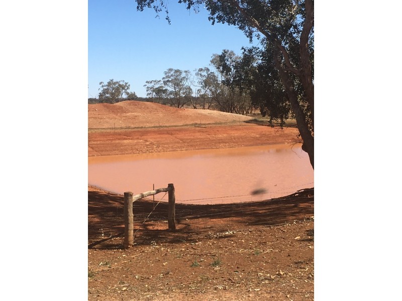 - KOONABURRA STATION, Ivanhoe NSW 2878