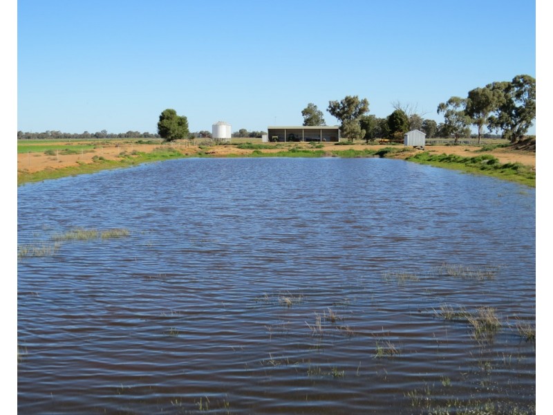 113 Tocumwal Road, Deniliquin NSW 2710