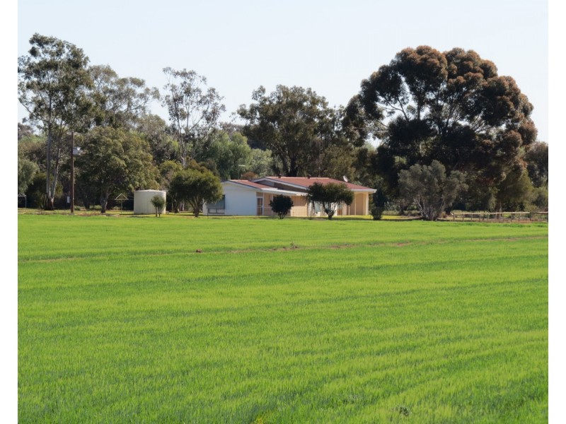113 Tocumwal Road, Deniliquin NSW 2710