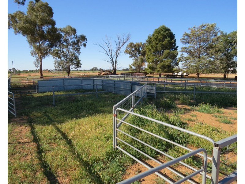 113 Tocumwal Road, Deniliquin NSW 2710