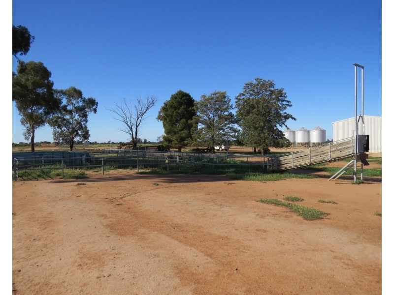 113 Tocumwal Road, Deniliquin NSW 2710