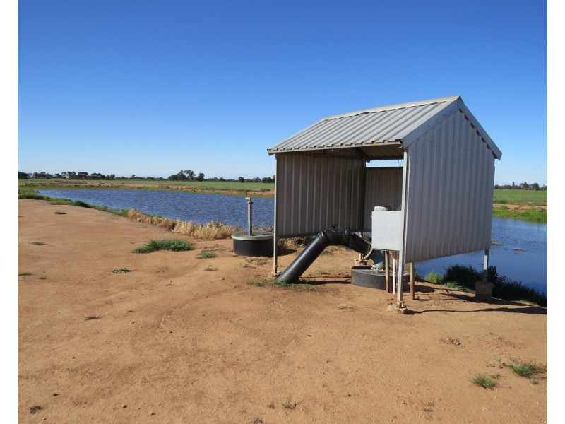 113 Tocumwal Road, Deniliquin NSW 2710