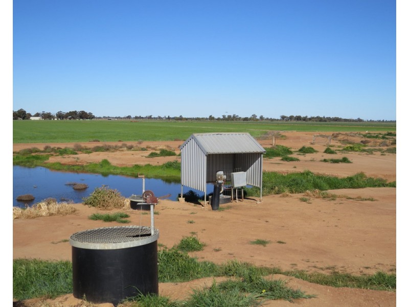 113 Tocumwal Road, Deniliquin NSW 2710