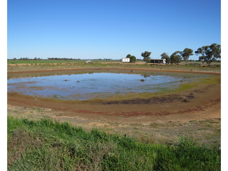 113 Tocumwal Road, Deniliquin NSW 2710