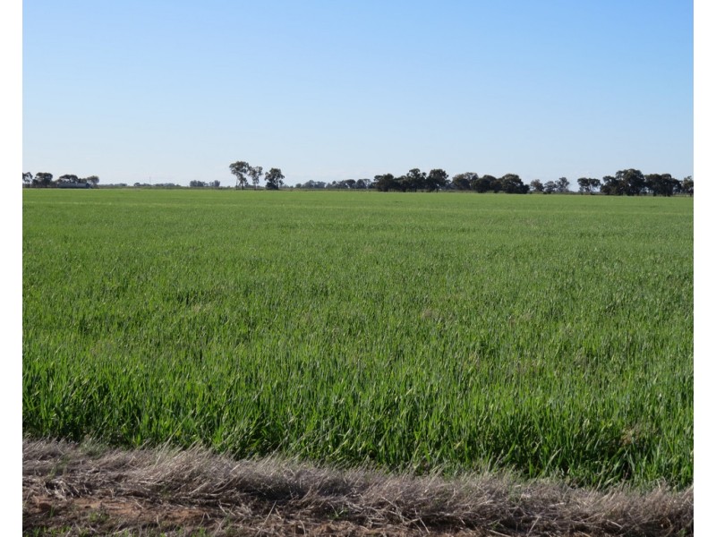 113 Tocumwal Road, Deniliquin NSW 2710