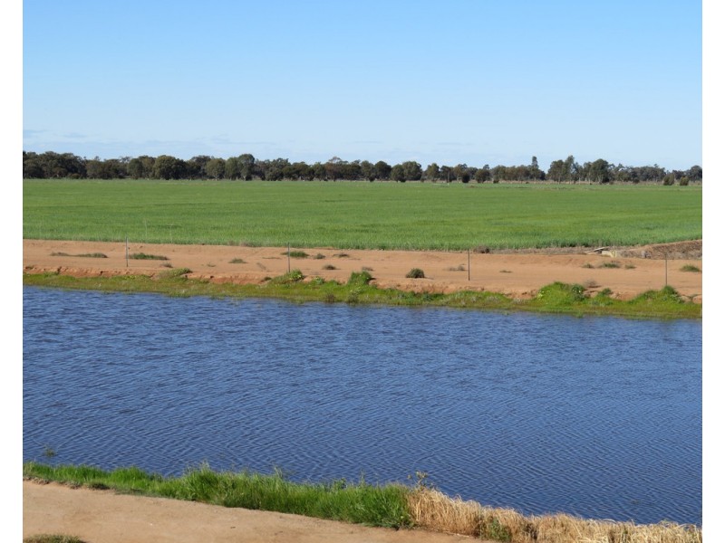 113 Tocumwal Road, Deniliquin NSW 2710