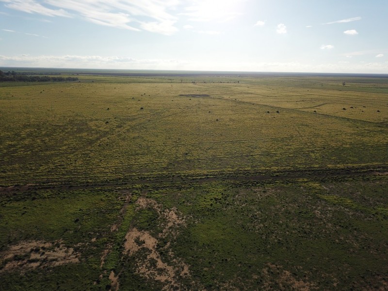 1125 Murrumbidgee River Road, Hay NSW 2711