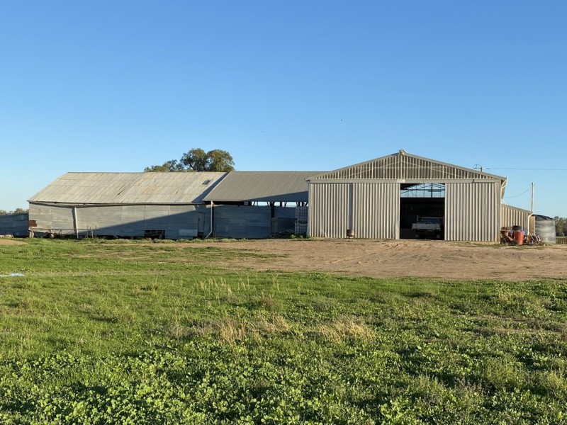 1125 Murrumbidgee River Road, Hay NSW 2711