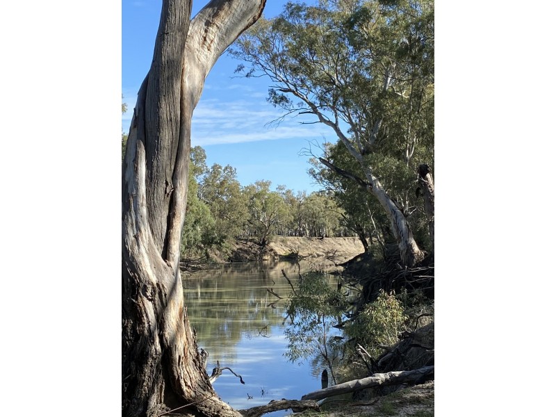 1125 Murrumbidgee River Road, Hay NSW 2711