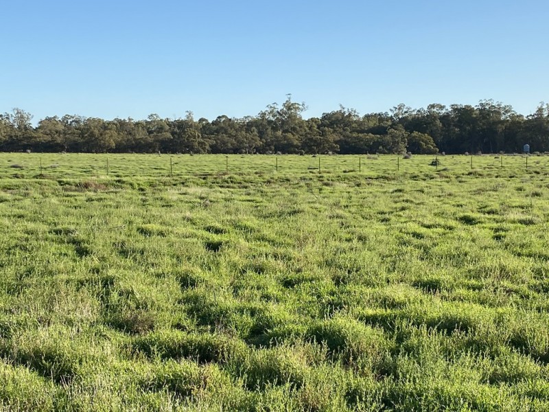 1125 Murrumbidgee River Road, Hay NSW 2711