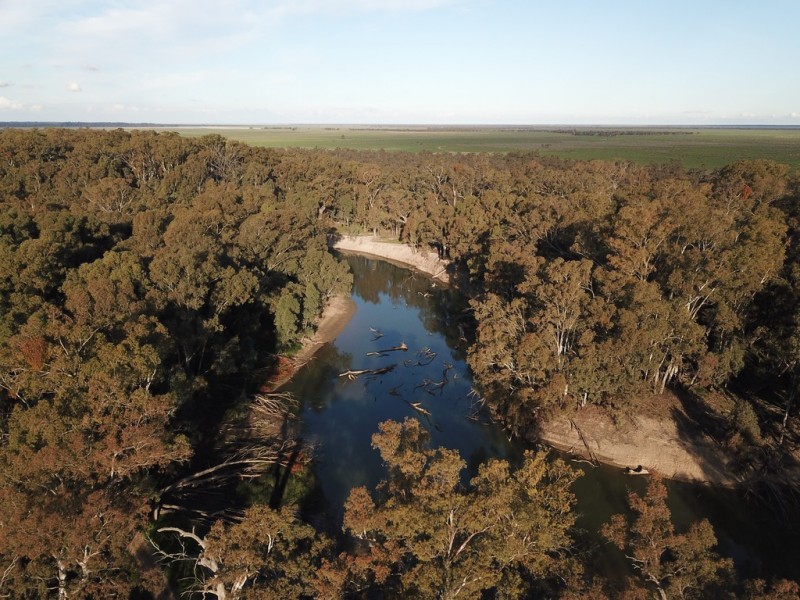 1125 Murrumbidgee River Road, Hay NSW 2711