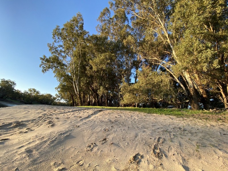 1125 Murrumbidgee River Road, Hay NSW 2711