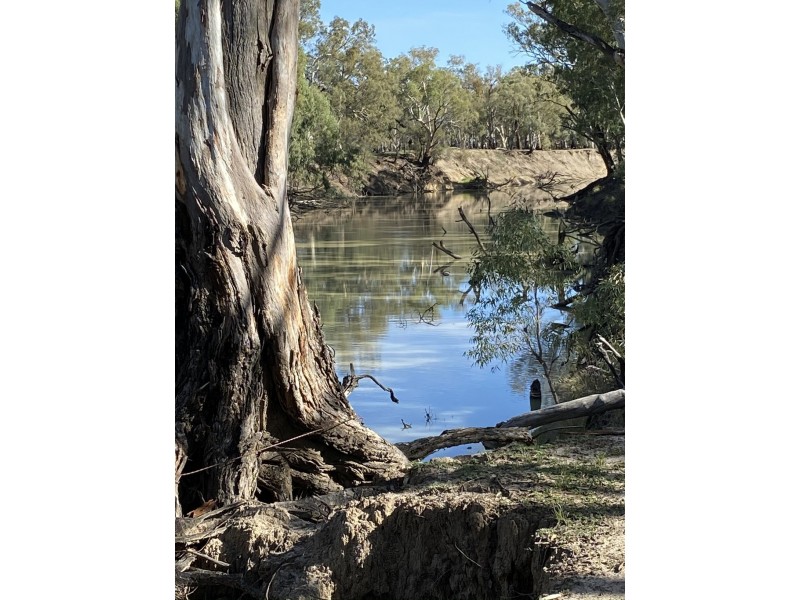 1125 Murrumbidgee River Road, Hay NSW 2711