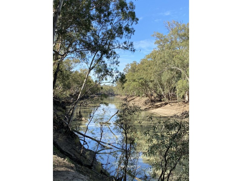 1125 Murrumbidgee River Road, Hay NSW 2711