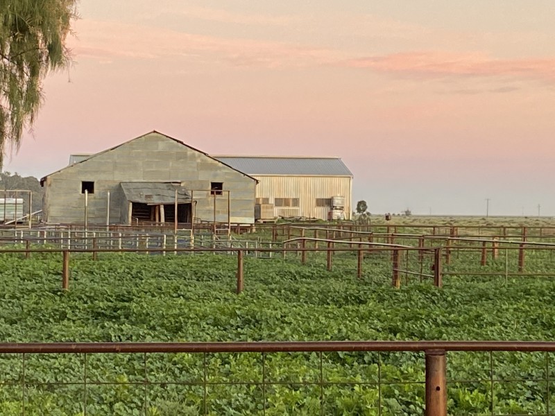 1125 Murrumbidgee River Road, Hay NSW 2711