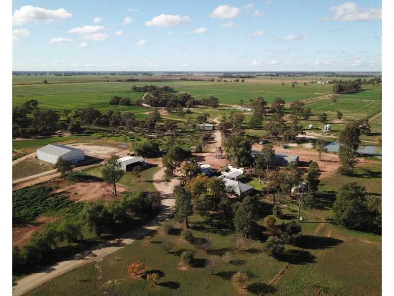 60 Mills Road, Deniliquin NSW 2710