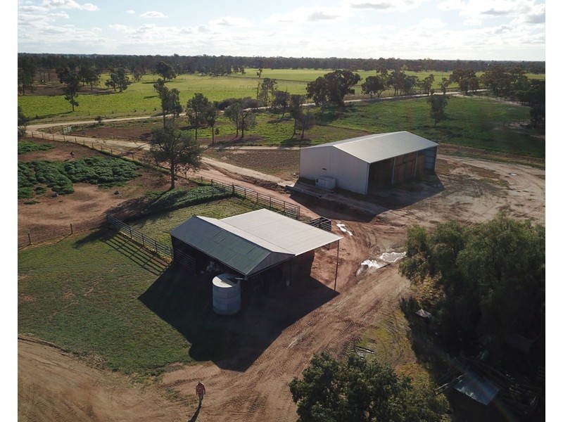 60 Mills Road, Deniliquin NSW 2710