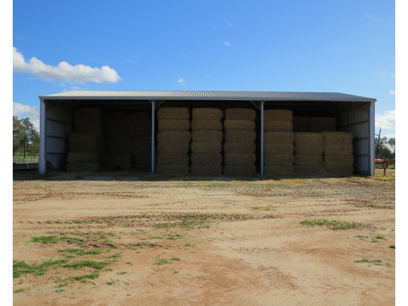 60 Mills Road, Deniliquin NSW 2710