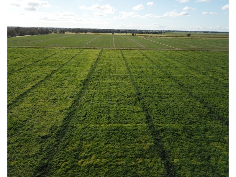 60 Mills Road, Deniliquin NSW 2710