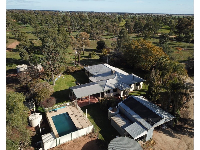 60 Mills Road, Deniliquin NSW 2710