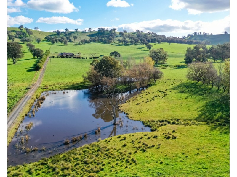 434 Woomargama Way, Woomargama NSW 2644