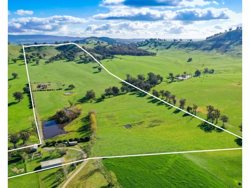 434 Woomargama Way, Woomargama NSW 2644