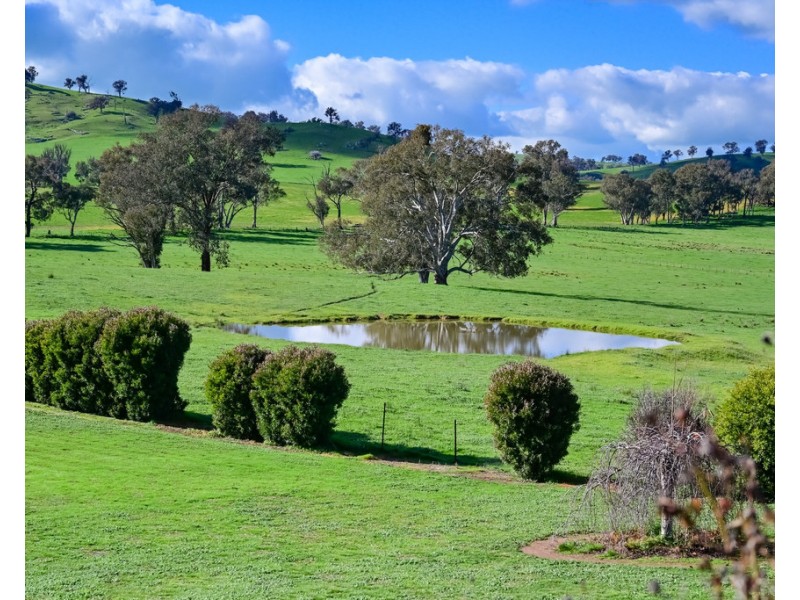 434 Woomargama Way, Woomargama NSW 2644