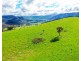 The Point River Road, Talmalmo NSW 2640