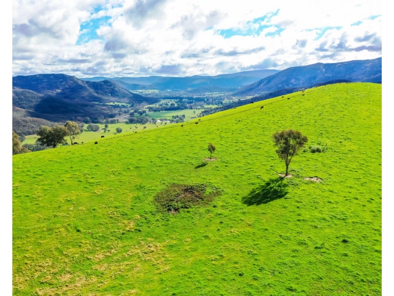 The Point River Road, Talmalmo NSW 2640