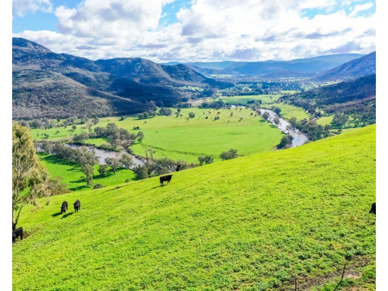 The Point River Road, Talmalmo NSW 2640