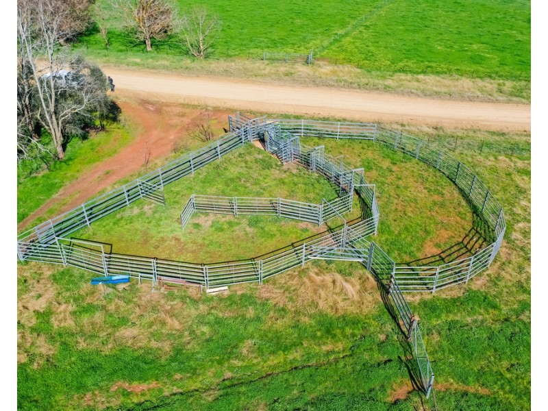 The Point River Road, Talmalmo NSW 2640