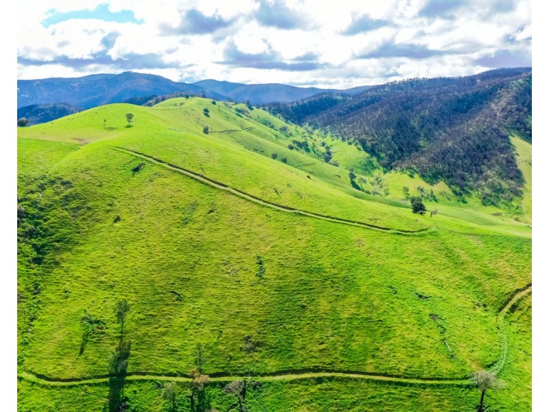 The Point River Road, Talmalmo NSW 2640