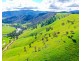 The Point River Road, Talmalmo NSW 2640