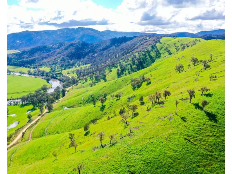 The Point River Road, Talmalmo NSW 2640