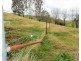 The Point River Road, Talmalmo NSW 2640