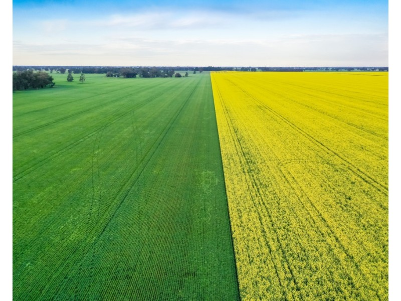 12678 RIVERINA HIGHWAY, Berrigan NSW 2712