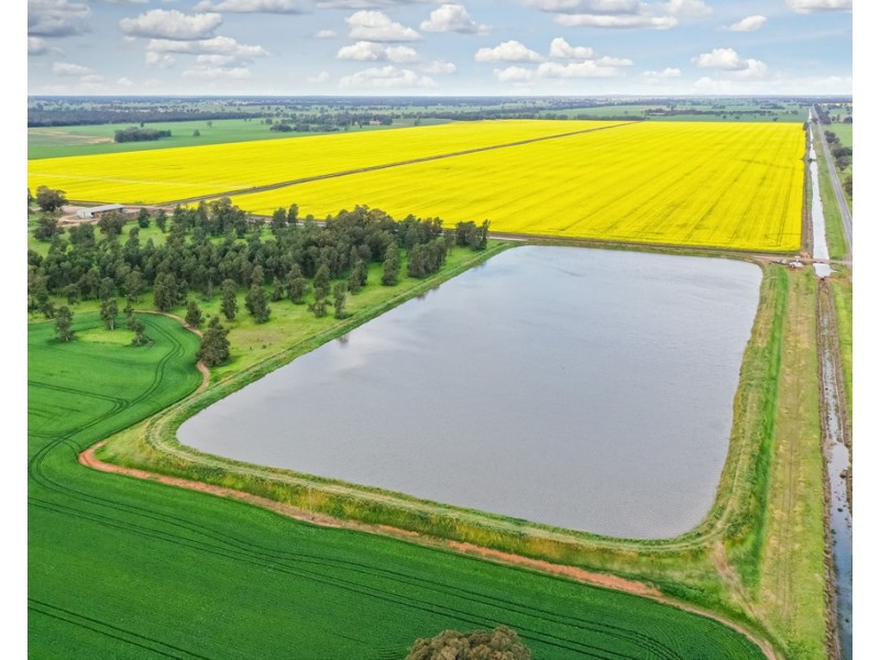 12678 RIVERINA HIGHWAY, Berrigan NSW 2712