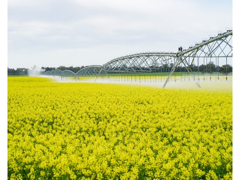 12678 RIVERINA HIGHWAY, Berrigan NSW 2712