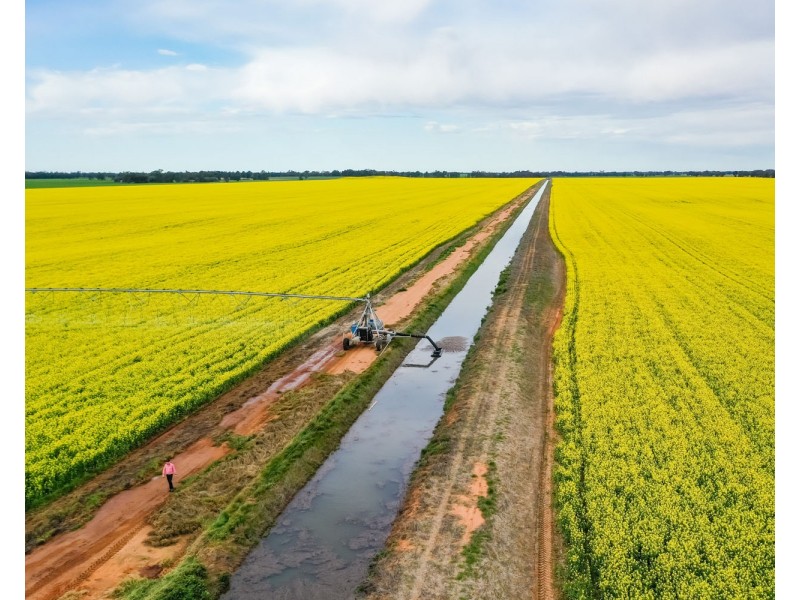 12678 RIVERINA HIGHWAY, Berrigan NSW 2712