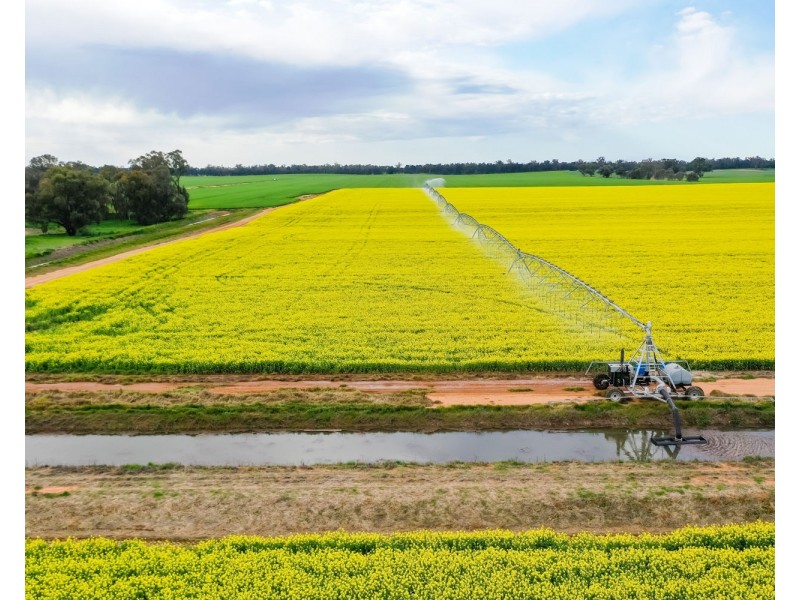 12678 RIVERINA HIGHWAY, Berrigan NSW 2712