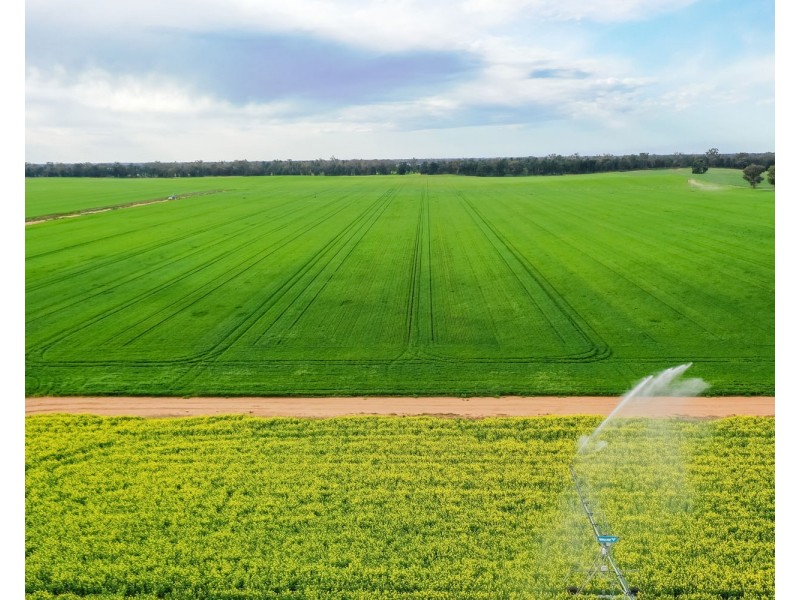 12678 RIVERINA HIGHWAY, Berrigan NSW 2712