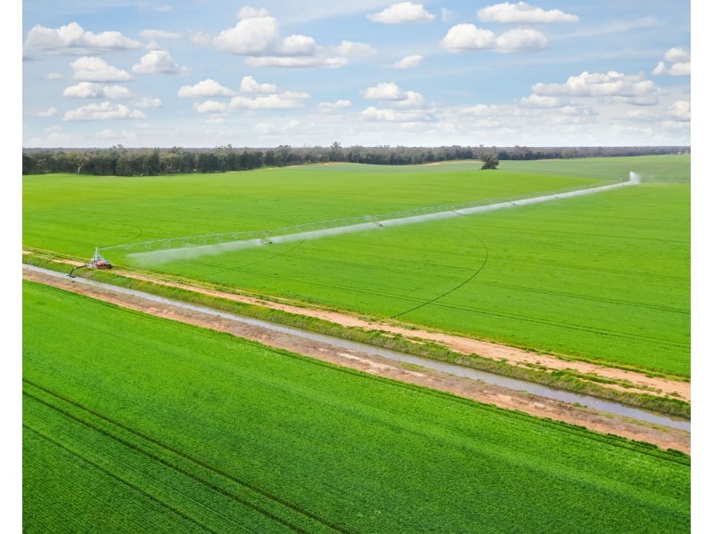 12678 RIVERINA HIGHWAY, Berrigan NSW 2712