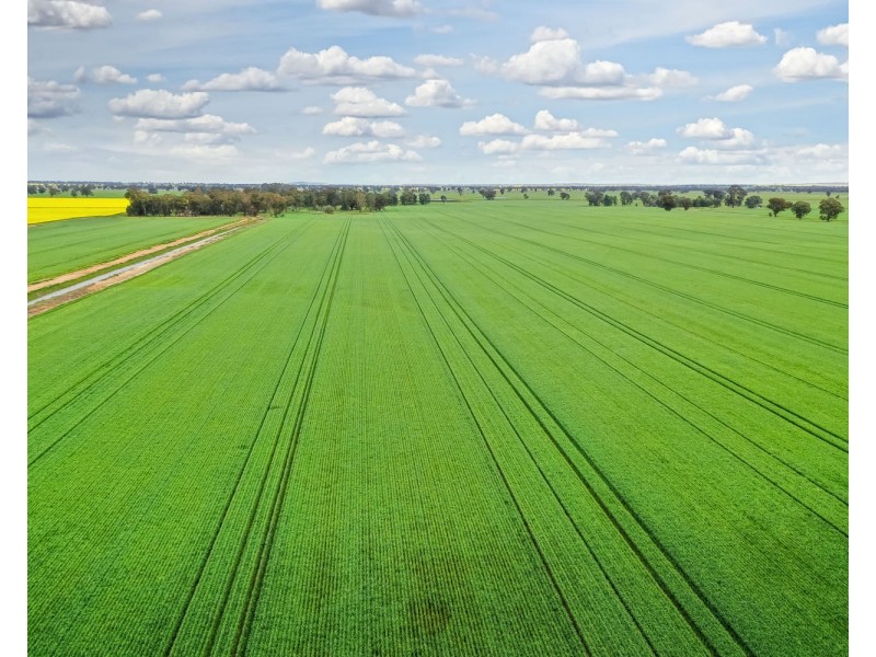 12678 RIVERINA HIGHWAY, Berrigan NSW 2712