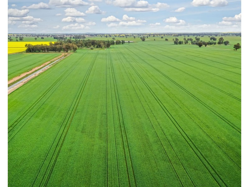 12678 RIVERINA HIGHWAY, Berrigan NSW 2712