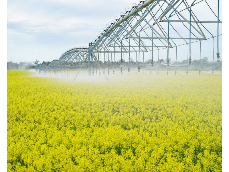 12678 RIVERINA HIGHWAY, Berrigan NSW 2712