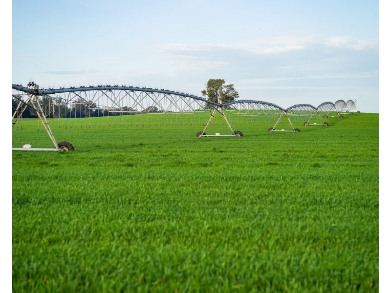 12678 RIVERINA HIGHWAY, Berrigan NSW 2712