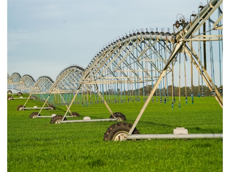 12678 RIVERINA HIGHWAY, Berrigan NSW 2712