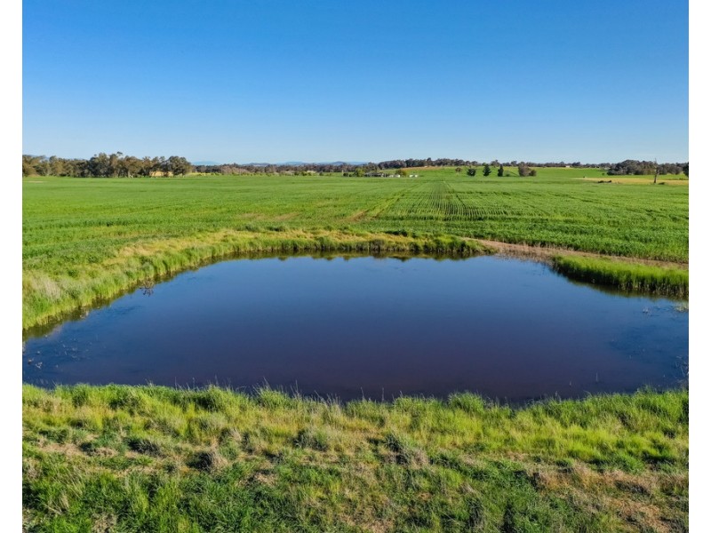 1841 Gerogery Road, Gerogery NSW 2642