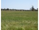Deniliquin NSW 2710