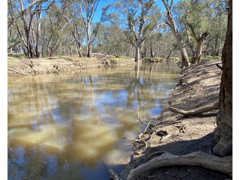 99 Mollys Lagoon Road, Narrandera NSW 2700